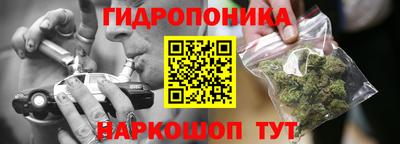 ГАЛЛЮЦИНОГЕННЫЕ ГРИБЫ Северобайкальск