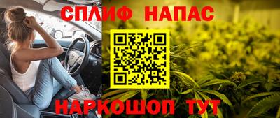 ГАЛЛЮЦИНОГЕННЫЕ ГРИБЫ Славгород