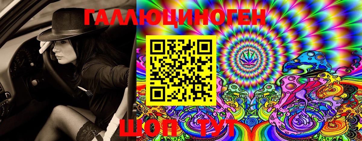 Галлюциногенные грибы GOLDEN TEACHER Новозыбков